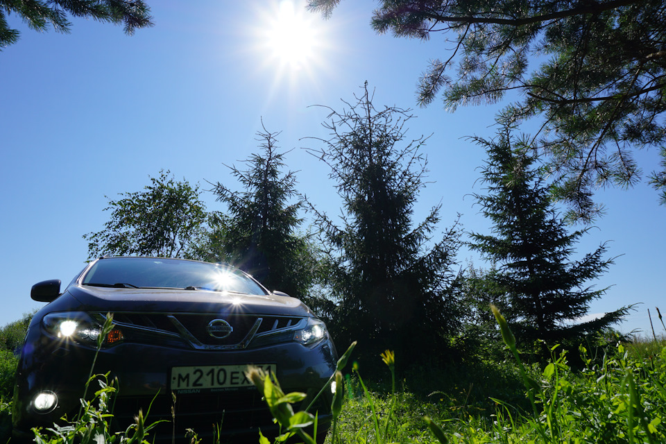 Фото в бортжурнале Nissan Murano II