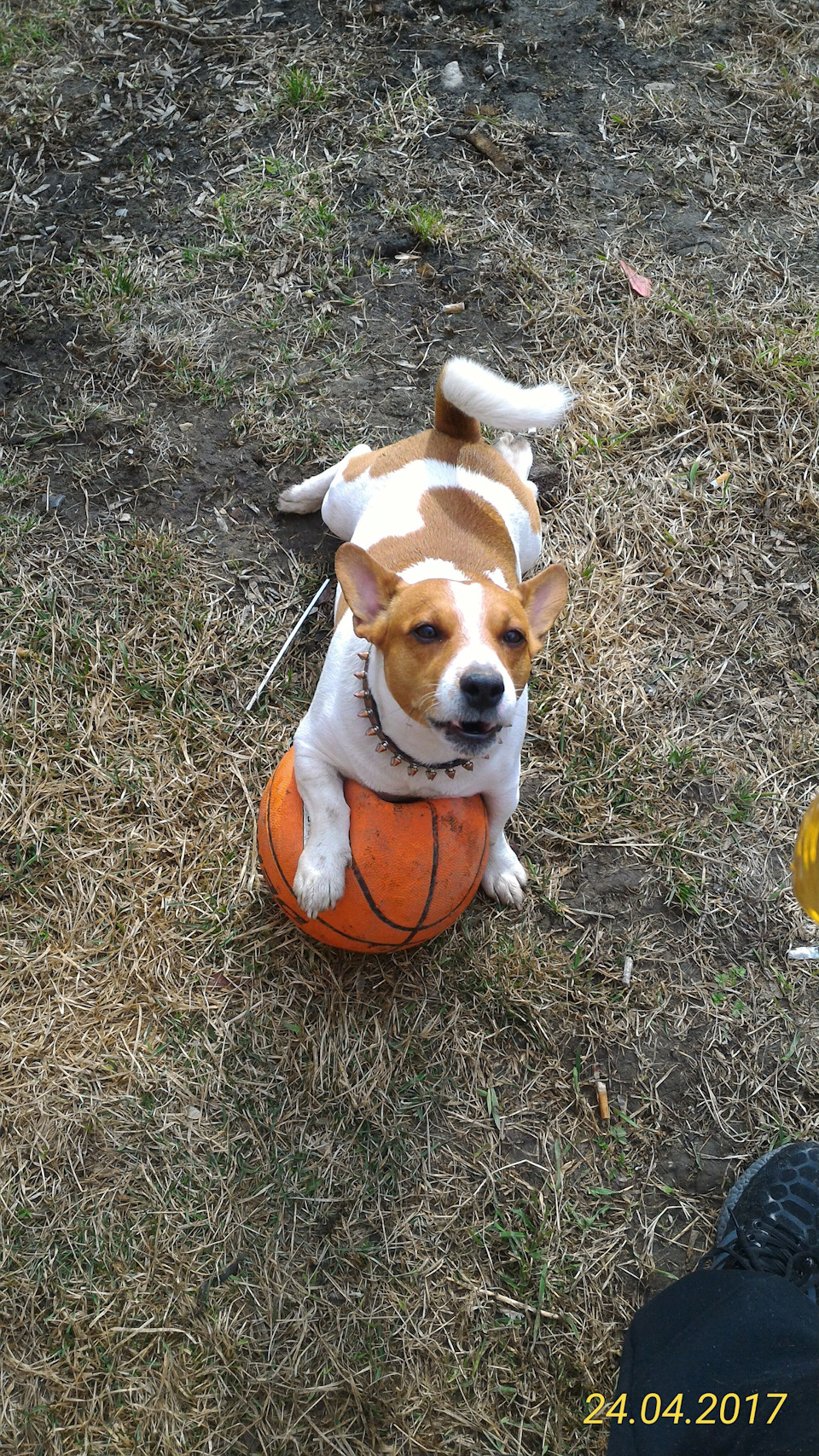 Фото в бортжурнале Volkswagen Polo Sedan