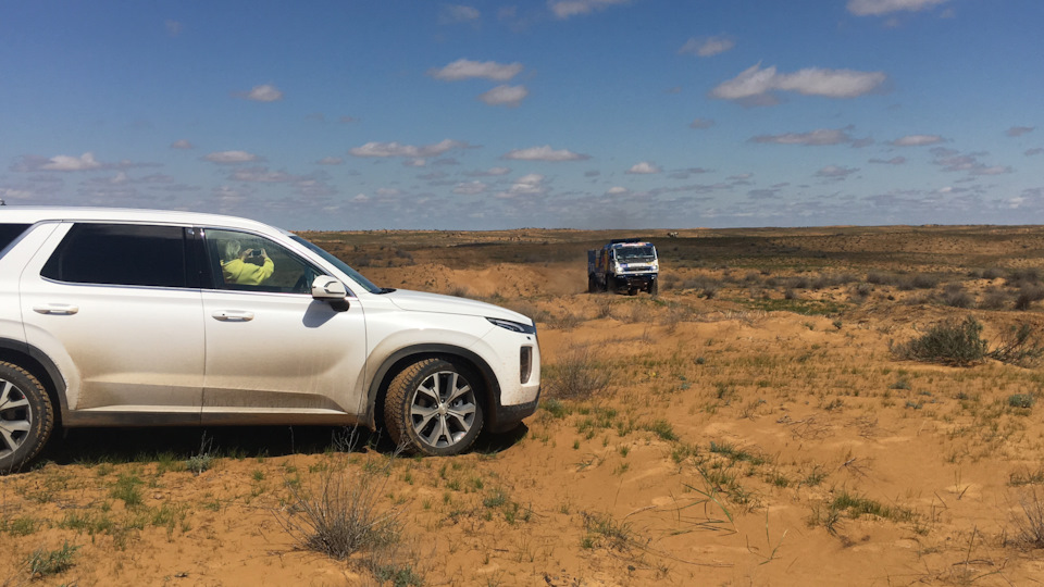 Фото в бортжурнале Hyundai Palisade (1G)