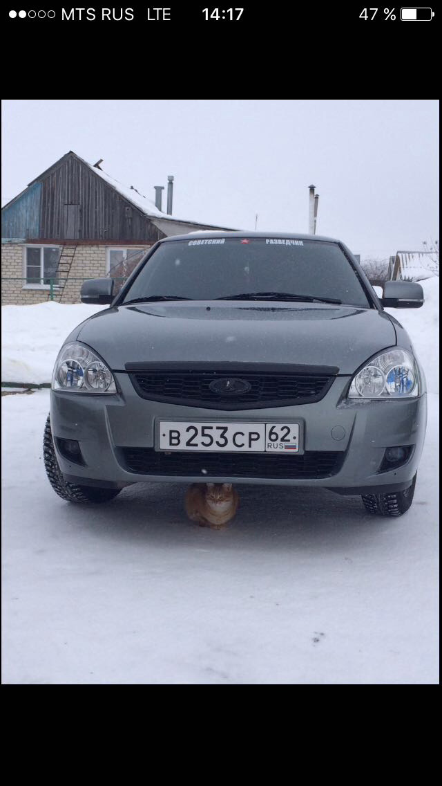 Кот решил погреться — Lada Приора седан, 1,6 л, 2008 года | прикол | DRIVE2
