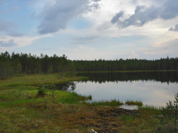 Ловецкое озеро Ленинградская область