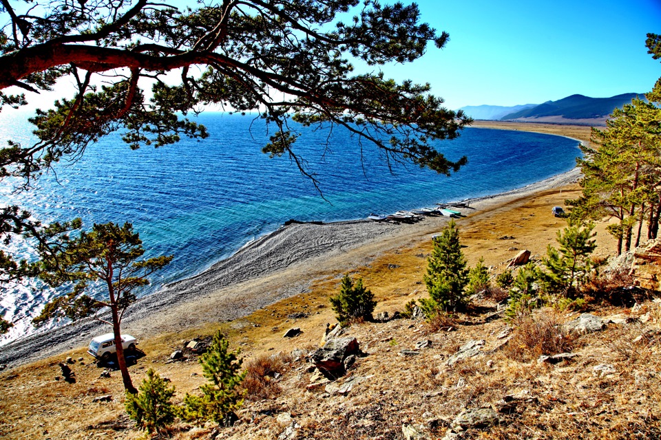 Большое голоустное байкал фото