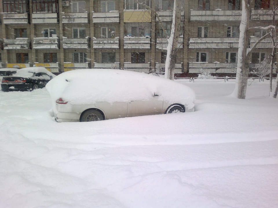 Где выпал снег в россии сегодня