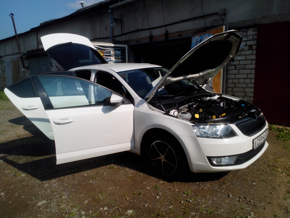 Её мы будем мыть =))) — Skoda Octavia A7 Mk3