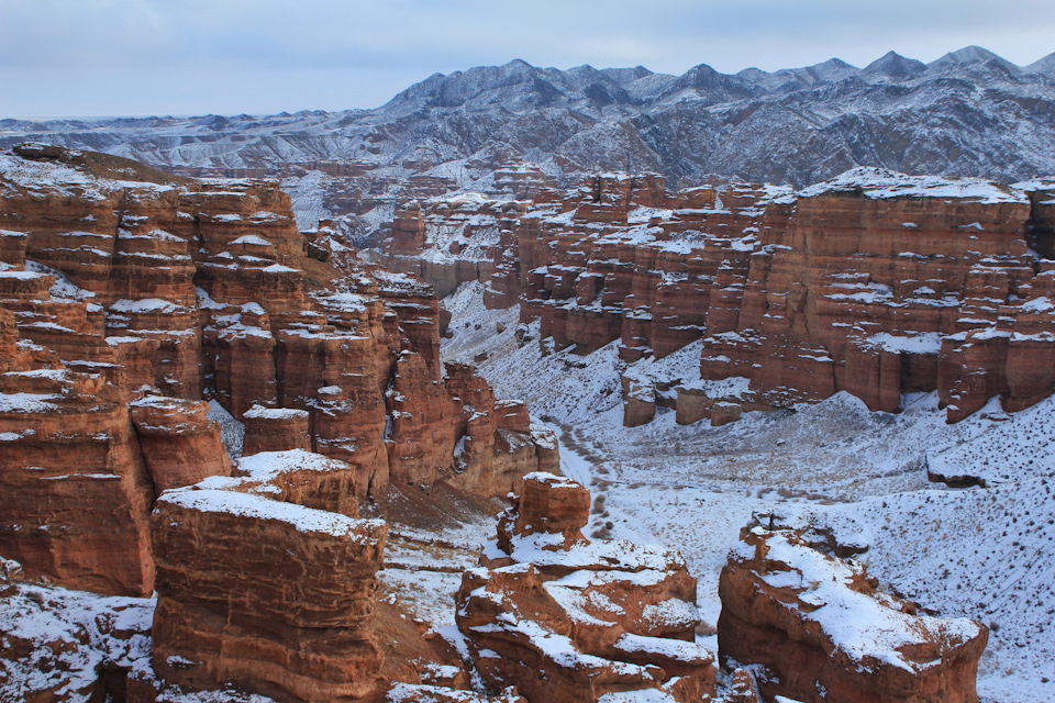 Фото в бортжурнале Nissan X-Trail III (t32)