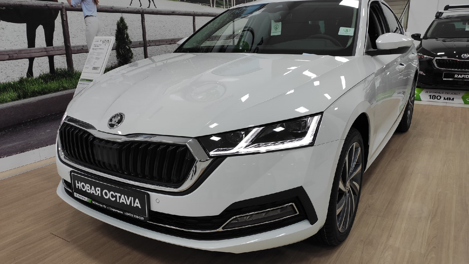 Skoda Octavia A8 Mk4 1.4 бензиновый 2021 | Котавия 2 на DRIVE2