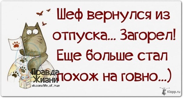 Вот и кончился отпуск картинки прикольные