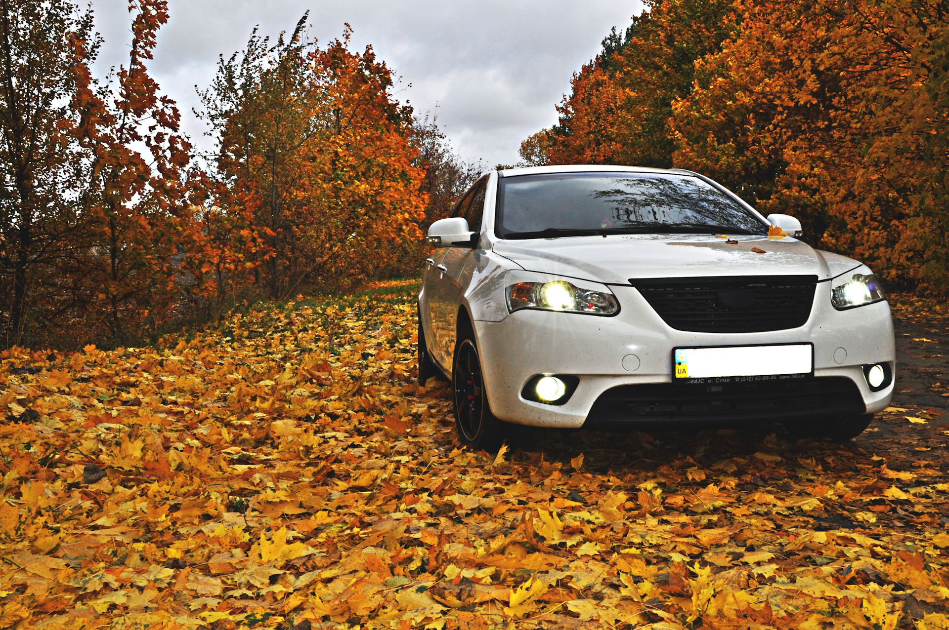 Эхо осень. Geely осень.