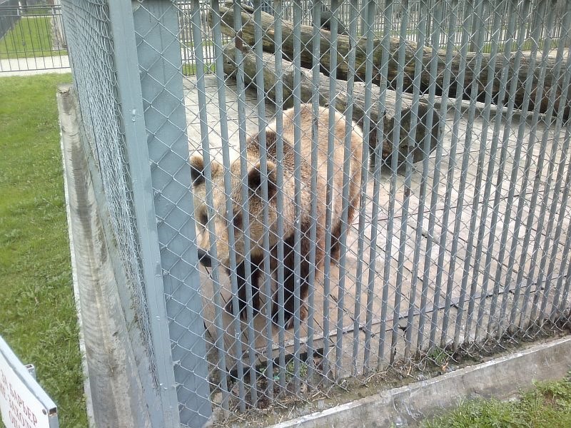 Трасса Е95 (Часть 4) — FIAT Marea, 1,6 л, 1997 года | путешествие | DRIVE2