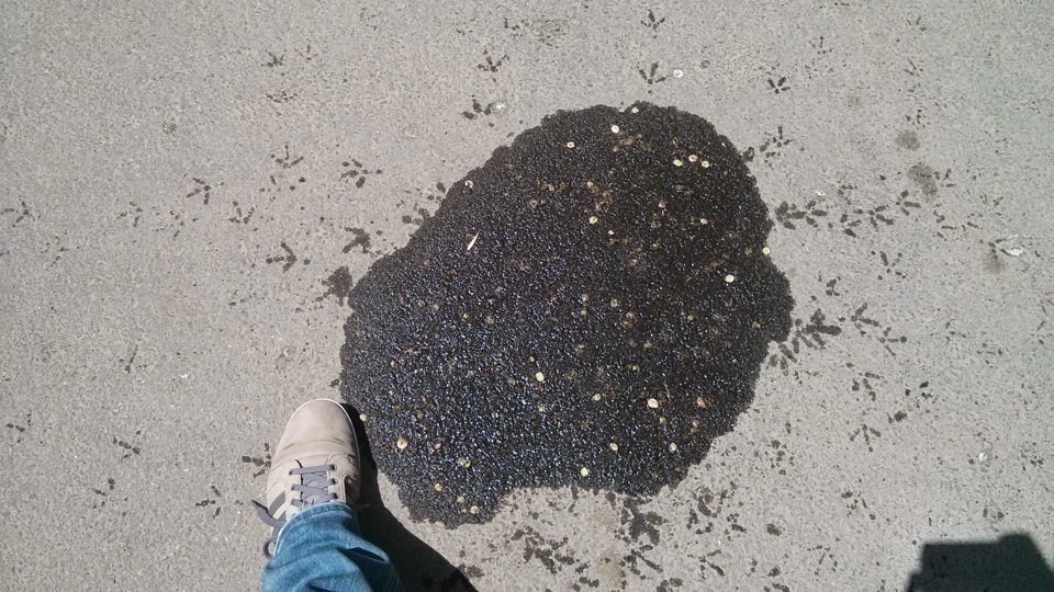 Выдавило масло на матизе. 8675152s 960. Выдавило масло на матизе фото. Выдавило масло на матизе-8675152s 960. картинка Выдавило масло на матизе. картинка 8675152s 960. Ну вот и меня настигло.