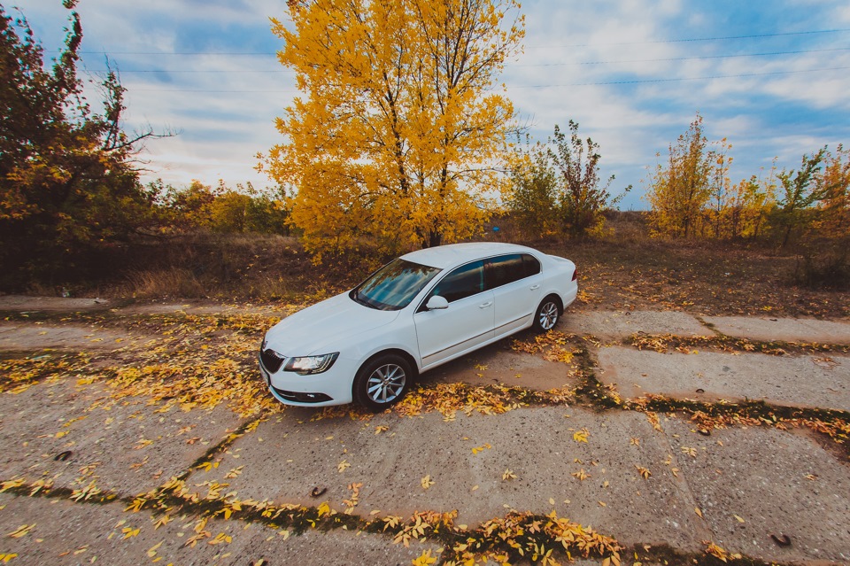 №9 Новые фотки ОСЕНЬ — Skoda Superb Mk2, 1,8 л, 2014 года | фотография ...