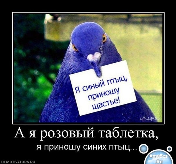 Птица счастья завтрашнего дня мем международный день СЧАСТЬЯ! - DRIVE2