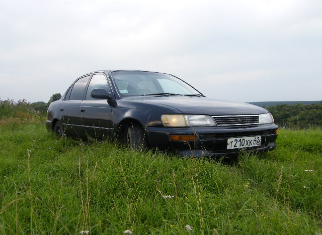 23 2010 Toyota Corolla 15 1992