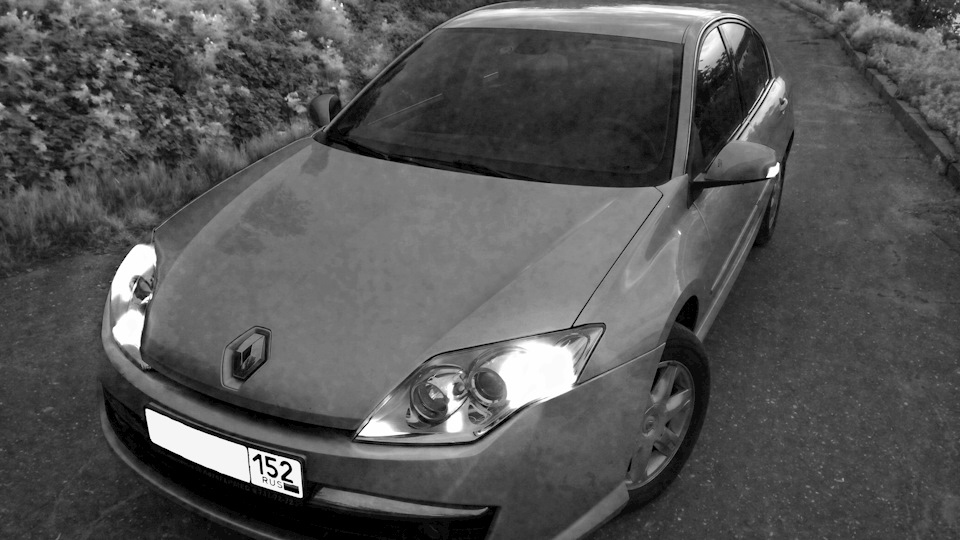 Ёлочка гори)) — Renault Laguna III, 1,6 л, 2008 года | электроника | DRIVE2