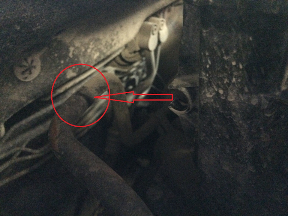 Фото в бортжурнале Volkswagen Polo Sedan