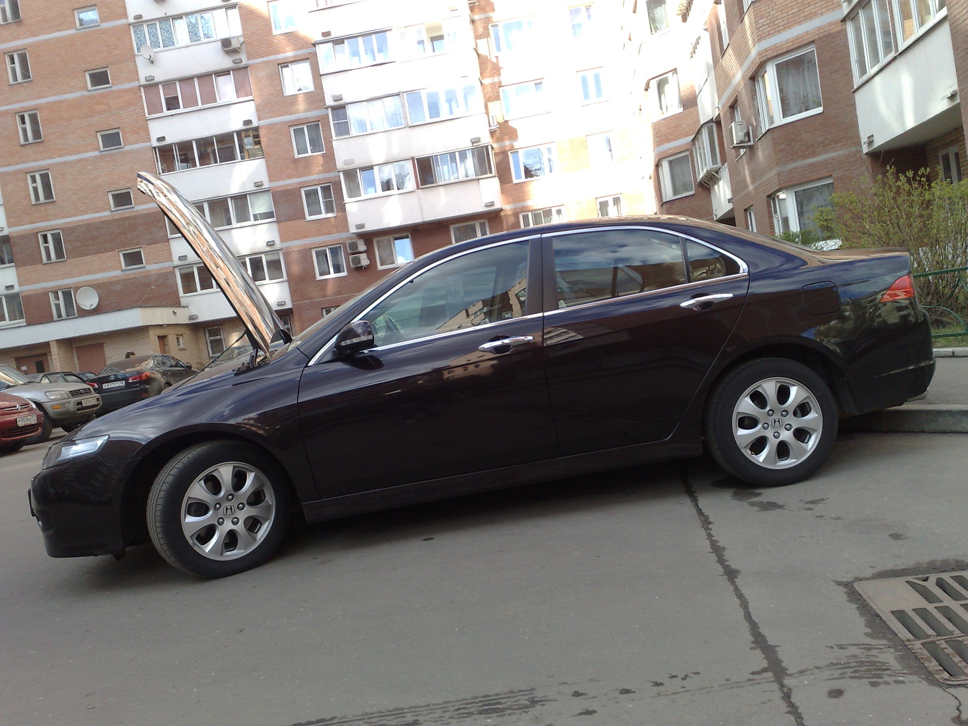 Наконец-то прошел ТО — Honda Accord (7G), 2,4 л., 2006 года | плановое ...