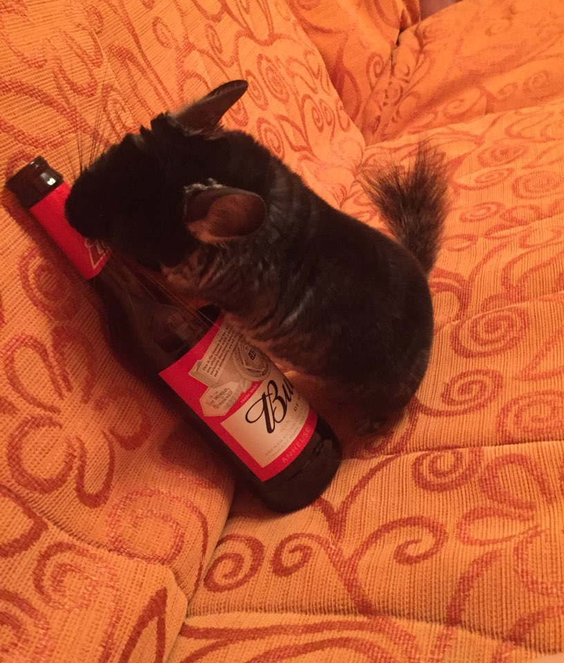 audi-a4-b5-1-8-2000-drive2