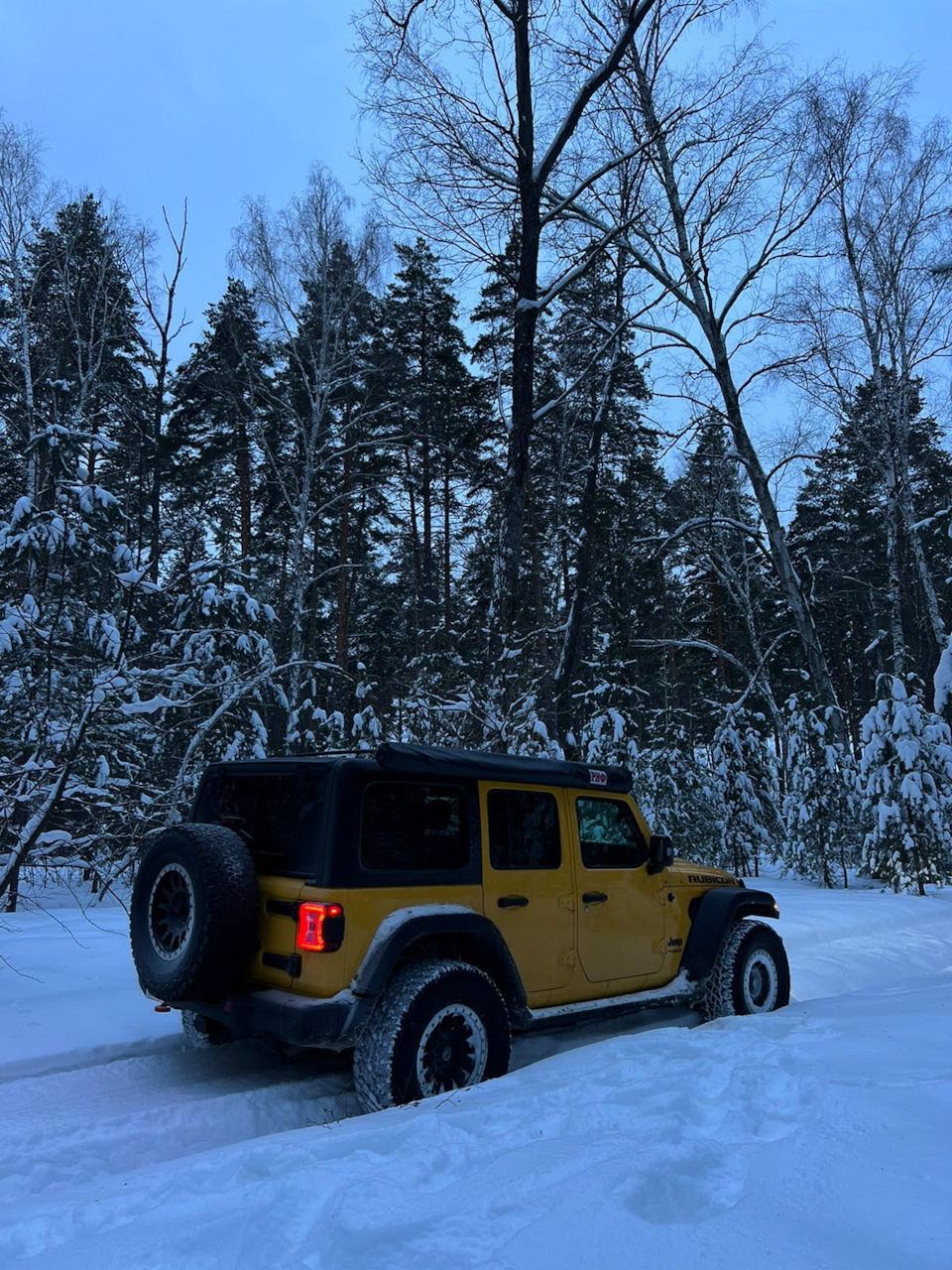 Нашёл приключения в лесу — Jeep Wrangler (JL), 2 л, 2020 года | покатушки |  DRIVE2