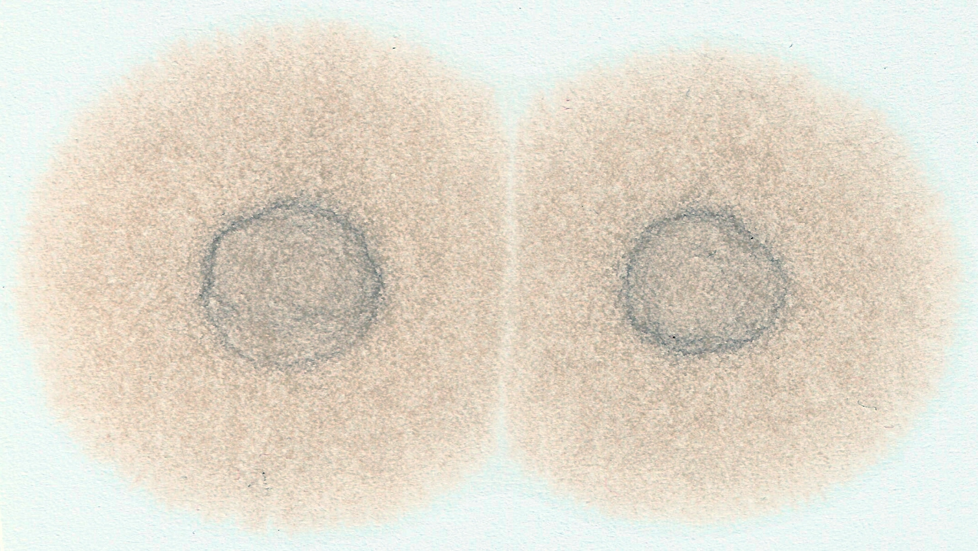 Капельный метод проверки масла. Капельный тест. — Suzuki Liana, 1,6 л ...