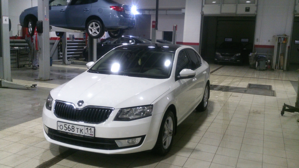Фото в бортжурнале Skoda Octavia A7 Mk3