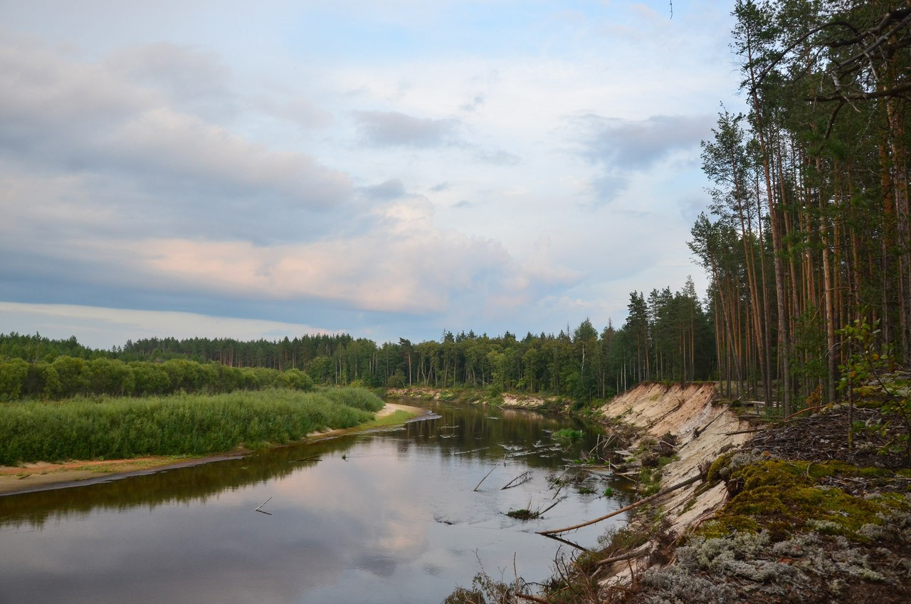 Большая кокшага фото