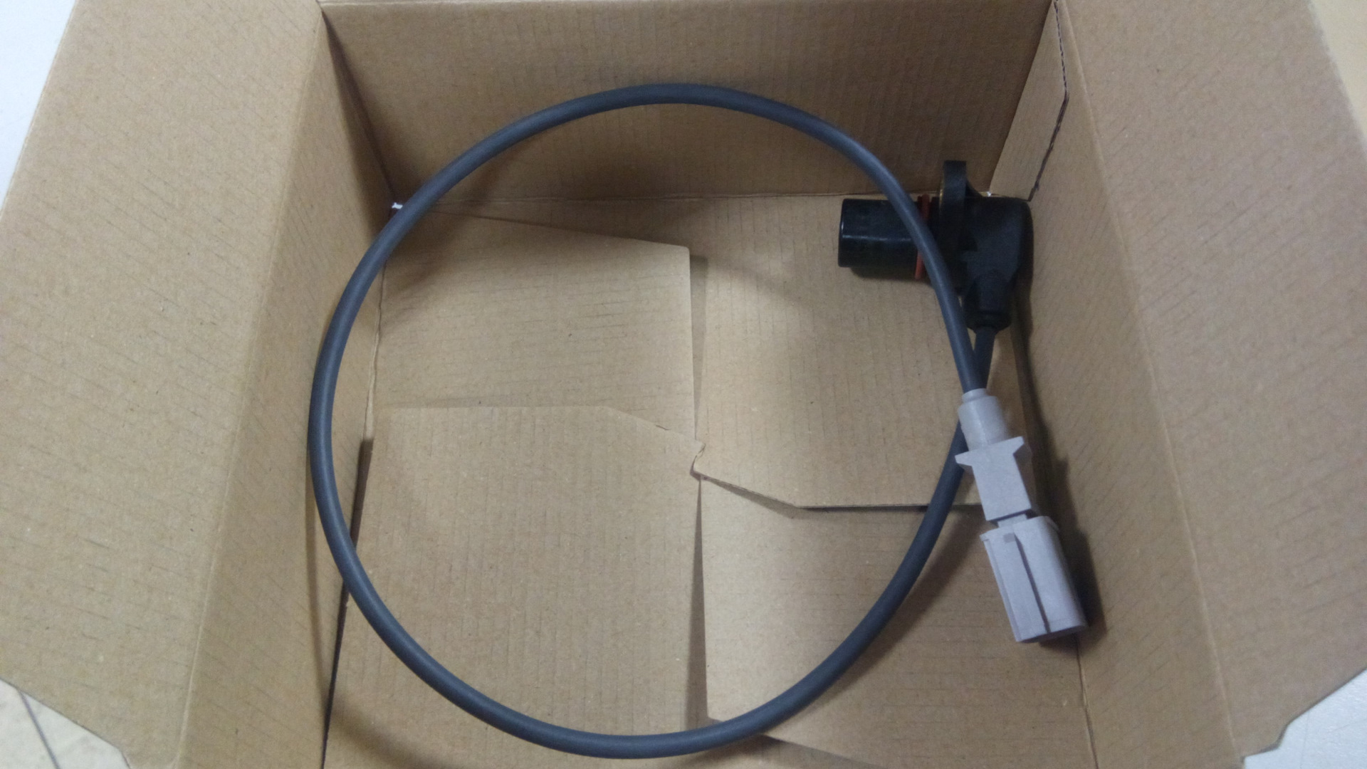 ������ ���������� �������� ����