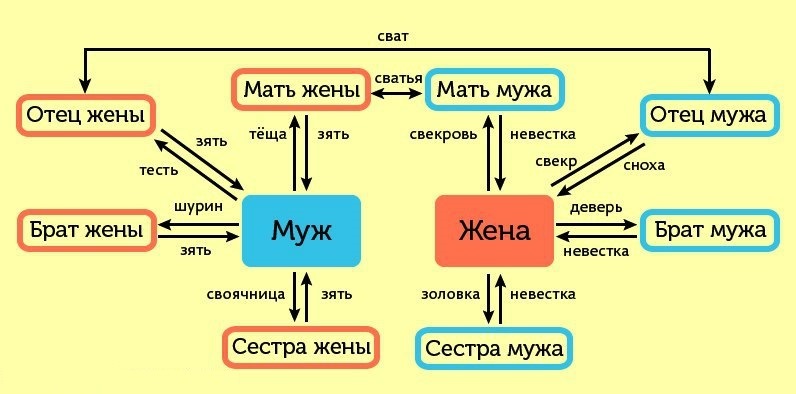 Родственные связи кто кому кем приходится схема полная