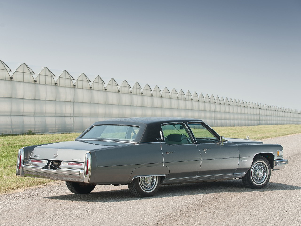 Cadillac 1971 back