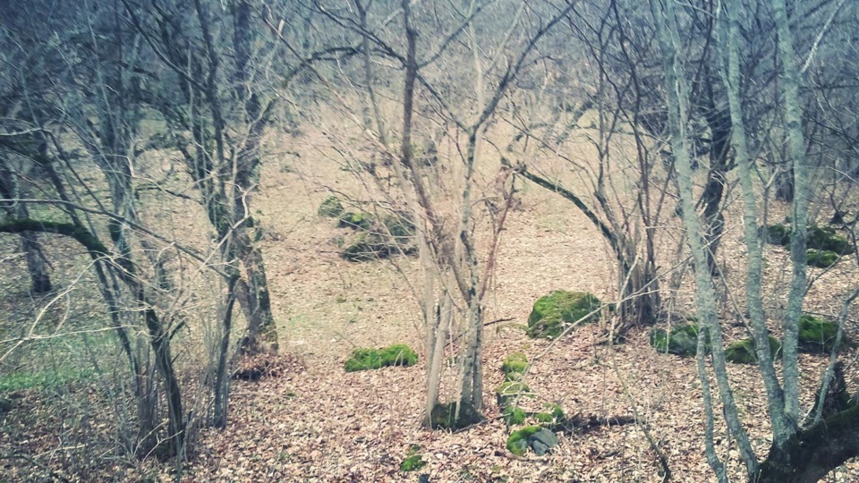 Фото в бортжурнале Lada 4x4 3D