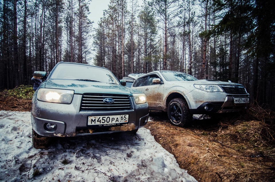 парочка ) — Subaru Forester (SG)