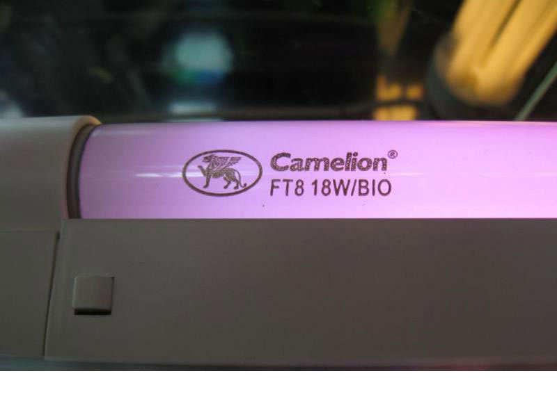 Биолампа — Сообщество «Аквариум (и его обитатели)» на DRIVE2