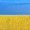 Авторынок туча в симферополе б у автомобили