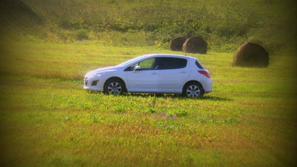 Peugeot 308 (1G) 1.6 бензиновый 2012 | на DRIVE2