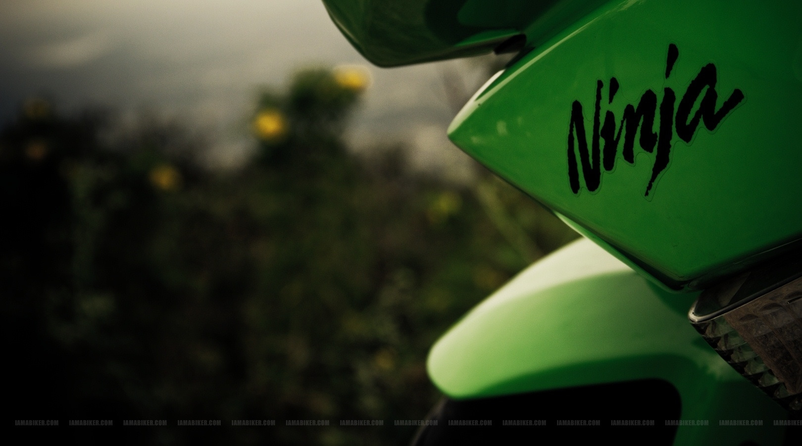 РћР±РѕРё Ninja 250