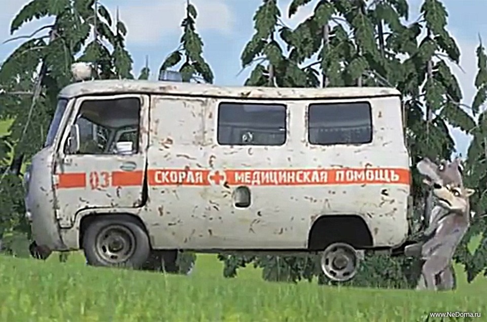 Маша и медведь скорая. Машина скорой помощи из Маша и медведь. УАЗ Буханка из Маша и медведь. Волки и скорая. Маша и медведь скорая медицинская помощь.