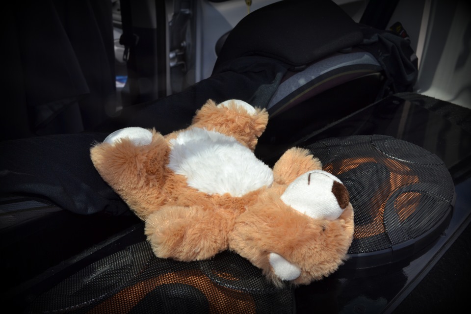 Мишка отдыхает на Hertz*ах=))кстати полку под Hertz*ы делала 1,5 года назад под заказ) — Citroen C1 (1G)