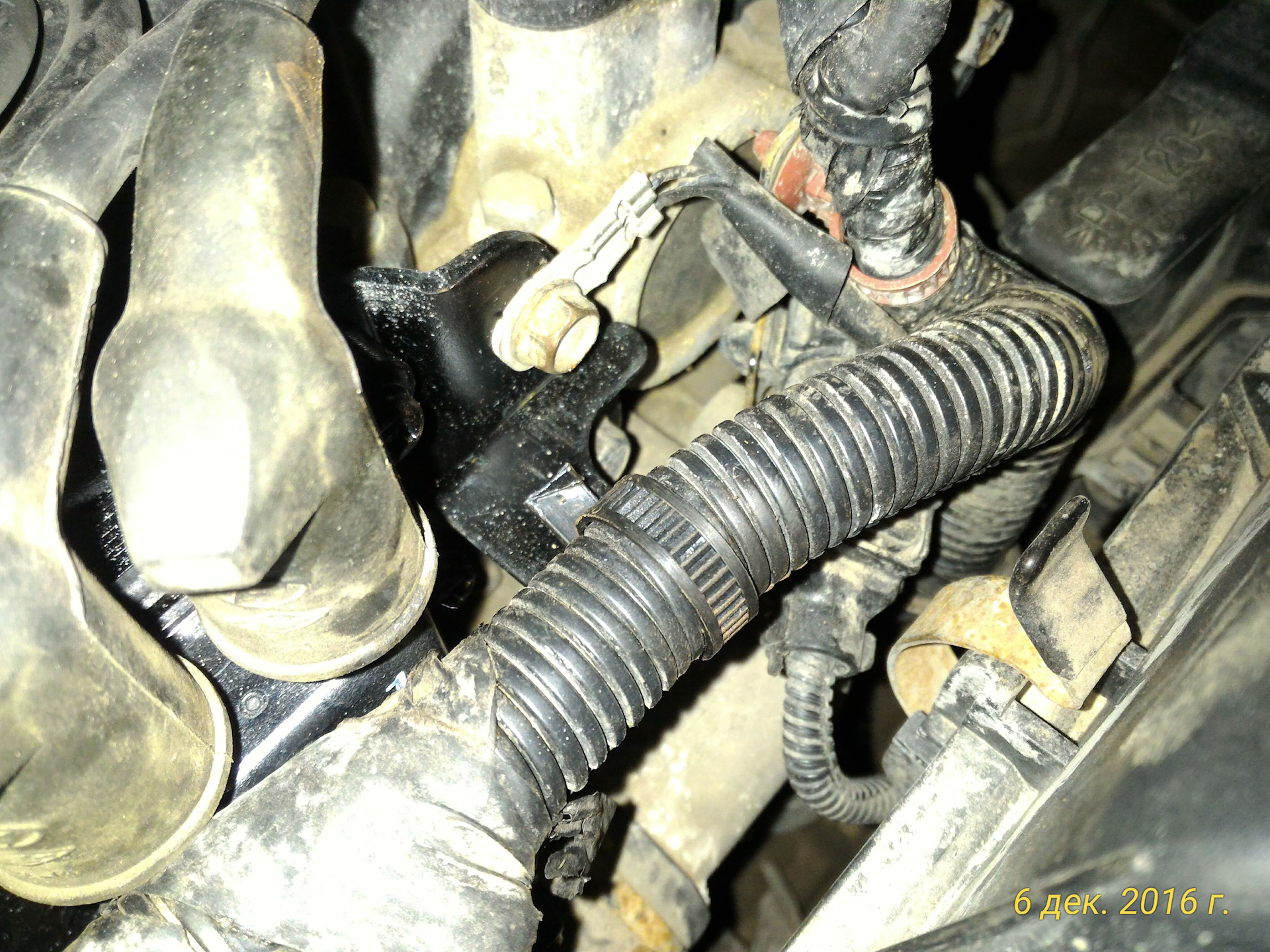 Хомут проводки двигателя — Hyundai Accent (2G), 1,5 л, 2005 года ...