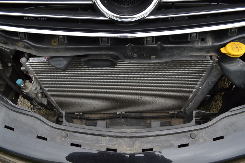 Пойманые мухи через сетку за период весна-лето — Opel Zafira B