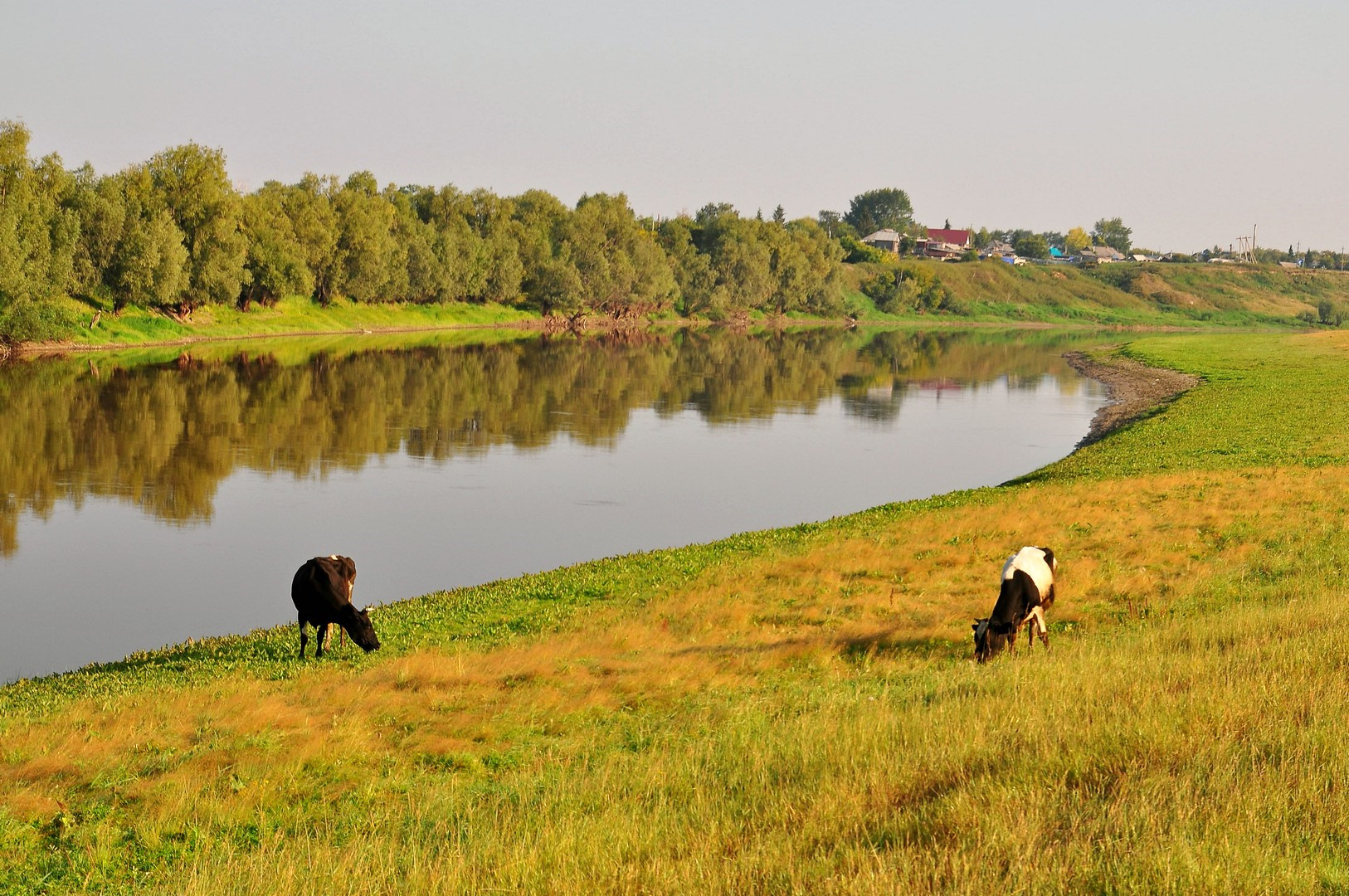 Река Омка Новосибирская область