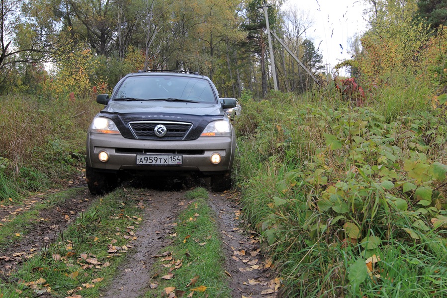 Лесная дорога, скользкая и мокрая — KIA Sorento (1G)