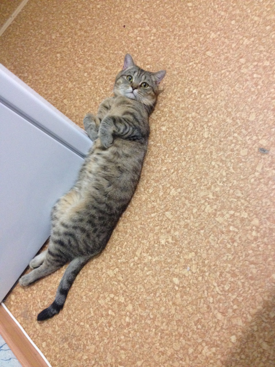 Подсветка регулятора оборотов печки и корректора фар — Lada 2114, 1,5 л ...