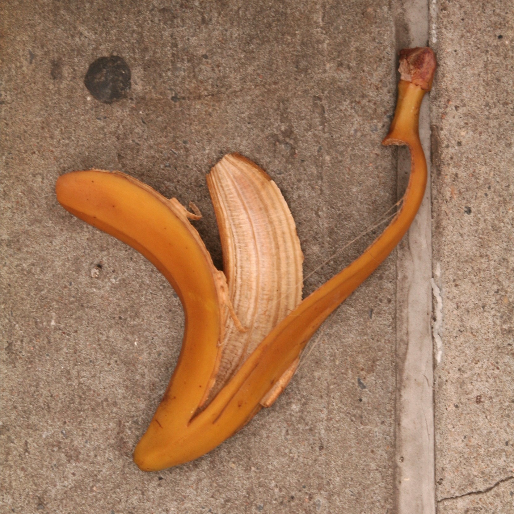 Ел кожуру бананов. Бананы в клумбе. Дерево с листьями в виде банановые шкурки. Кожаный банан. Корни с бананом.
