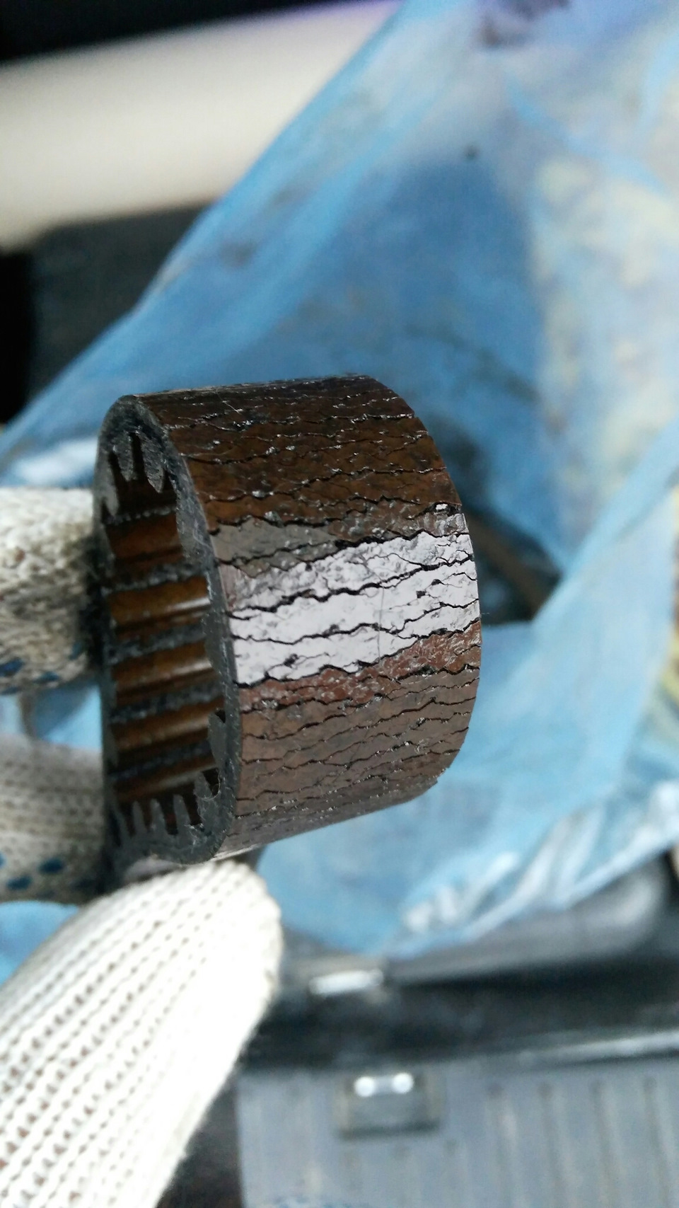 а вот и ремень ГРМ, который купается в масле — Ford S-Max (1G)