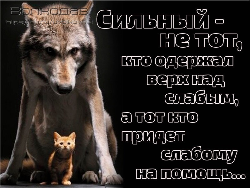 Одержать верх. Сильный не тот кто одержал верх над слабым. Победа над слабым подобна поражению. Победа над слабым. Мысли вслух Мем.