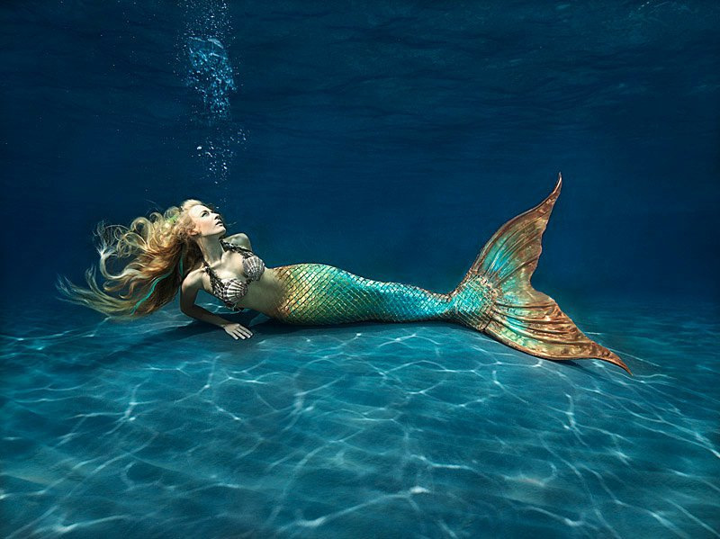 Lunette mermaid Should I