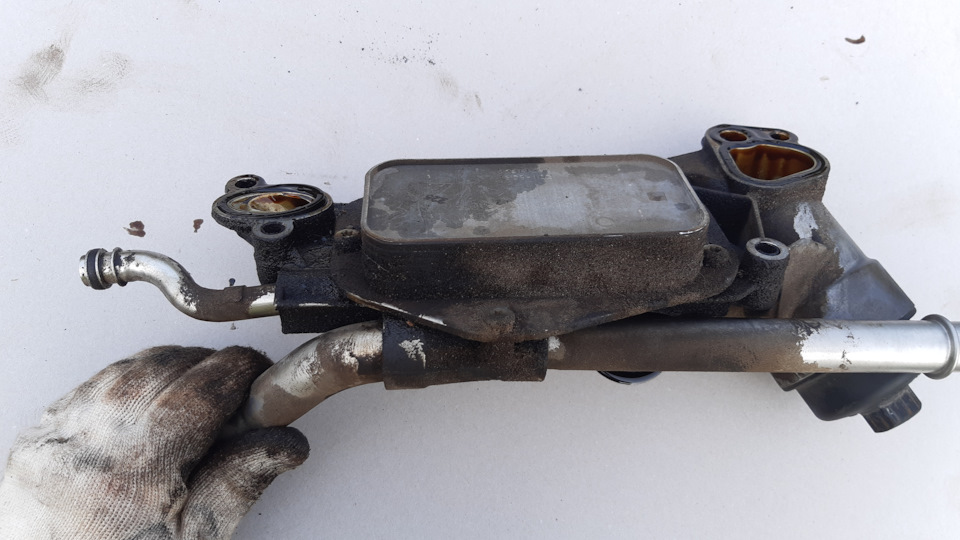 Ремонт: прокладки мне в маслоохладитель или замена прокладок ...