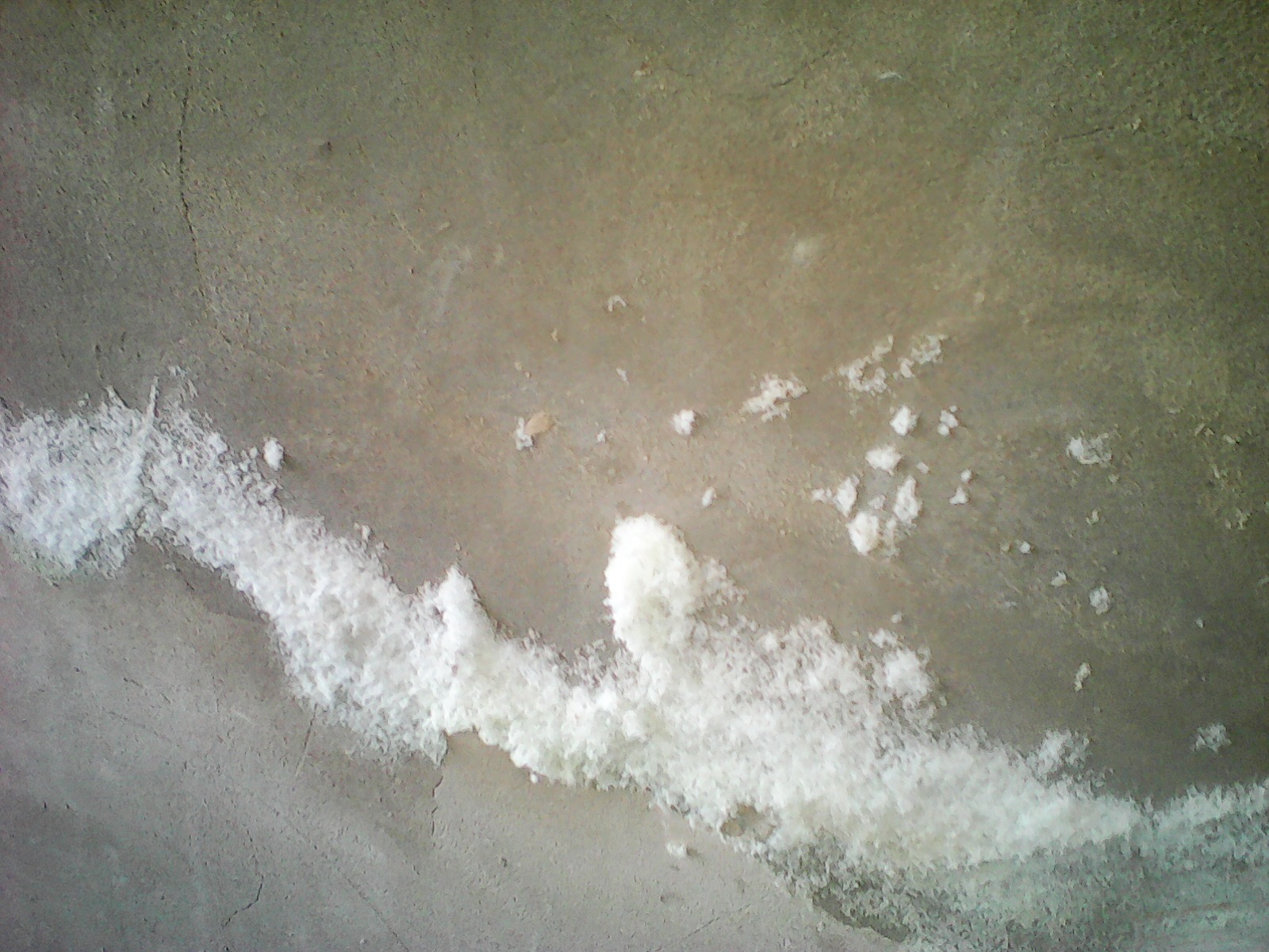 Соли бетонных. Высолы (белый кристаллический налёт). Высолы плесень. Высолы (белый кристаллический налёт) краске. Белый грибок на стенах.
