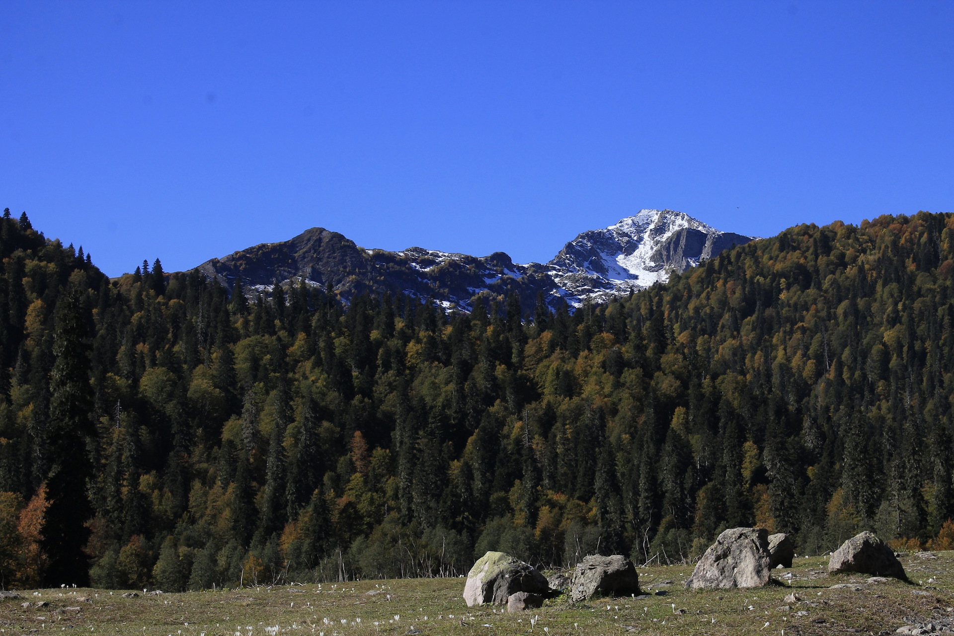 Абхазия в начале мая фото