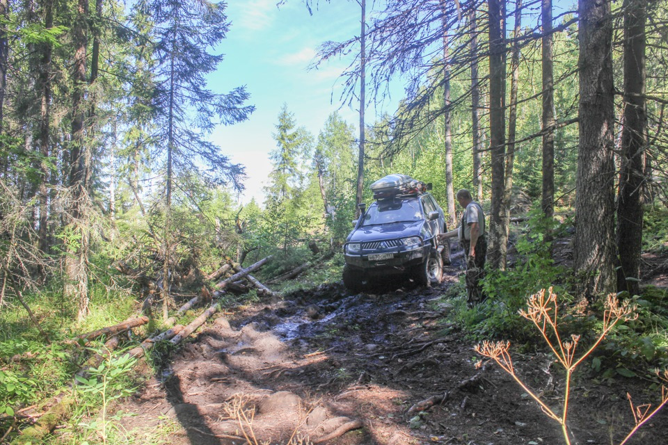 12 — Mitsubishi Pajero Sport (2G). Запчасти на фото: 2072015