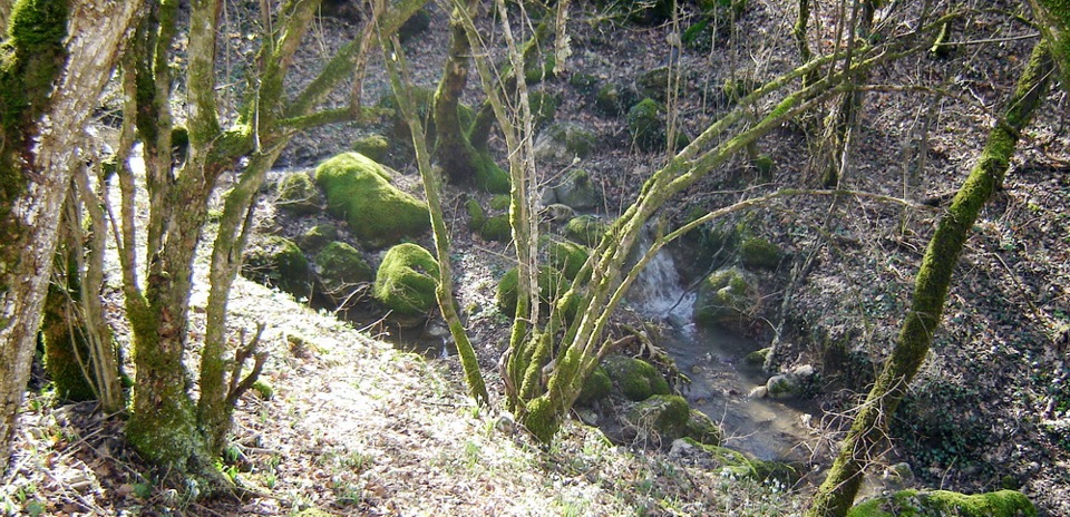 Фото в бортжурнале Volkswagen Polo Sedan